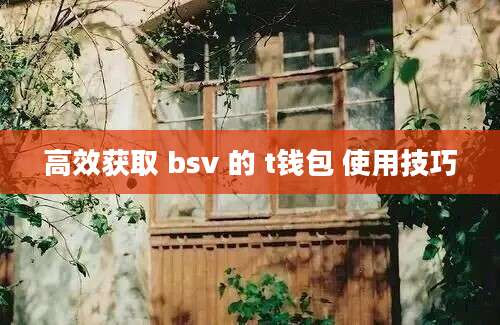 高效获取 bsv 的 t钱包 使用技巧