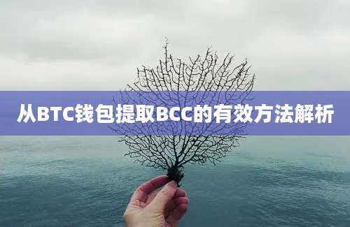 从BTC钱包提取BCC的有效方法解析