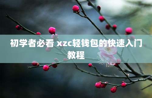 初学者必看 xzc轻钱包的快速入门教程