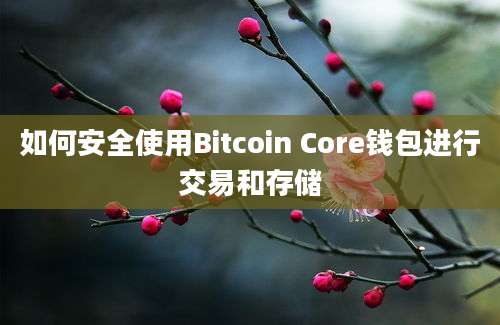 如何安全使用Bitcoin Core钱包进行交易和存储