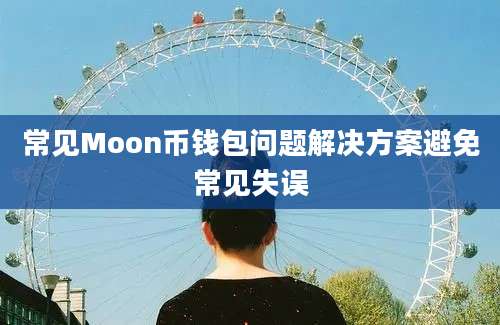 常见Moon币钱包问题解决方案避免常见失误