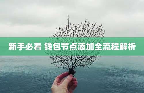 新手必看 钱包节点添加全流程解析