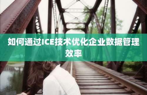 如何通过ICE技术优化企业数据管理效率