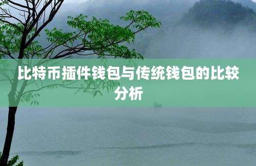 比特币插件钱包与传统钱包的比较分析