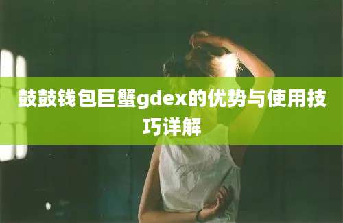 鼓鼓钱包巨蟹gdex的优势与使用技巧详解