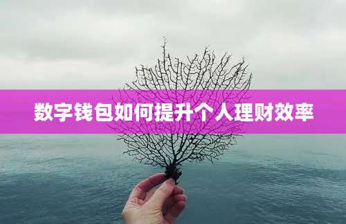 数字钱包如何提升个人理财效率