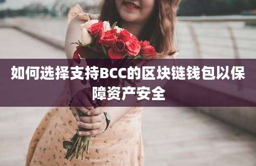 如何选择支持BCC的区块链钱包以保障资产安全