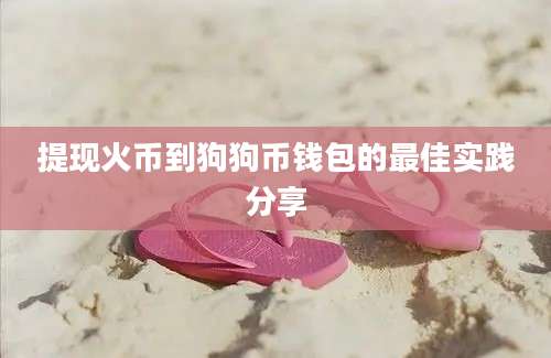 提现火币到狗狗币钱包的最佳实践分享