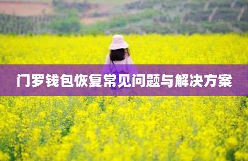 门罗钱包恢复常见问题与解决方案