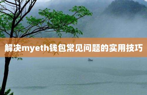 解决myeth钱包常见问题的实用技巧