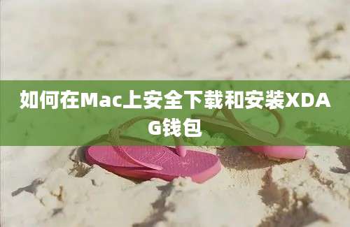 如何在Mac上安全下载和安装XDAG钱包