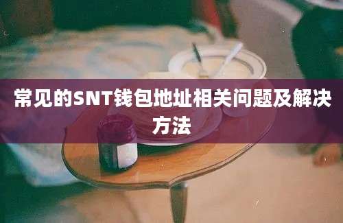 常见的SNT钱包地址相关问题及解决方法