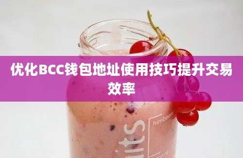 优化BCC钱包地址使用技巧提升交易效率