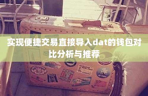 实现便捷交易直接导入dat的钱包对比分析与推荐