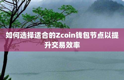 如何选择适合的Zcoin钱包节点以提升交易效率