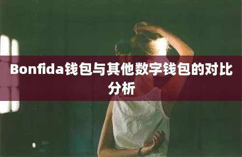 Bonfida钱包与其他数字钱包的对比分析