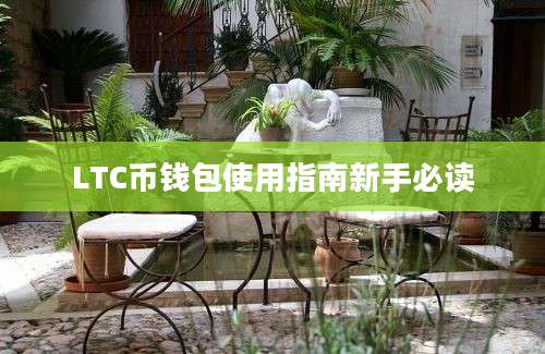 LTC币钱包使用指南新手必读