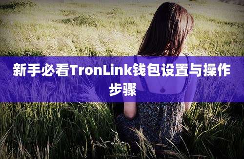 新手必看TronLink钱包设置与操作步骤