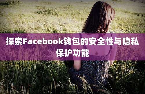 探索Facebook钱包的安全性与隐私保护功能