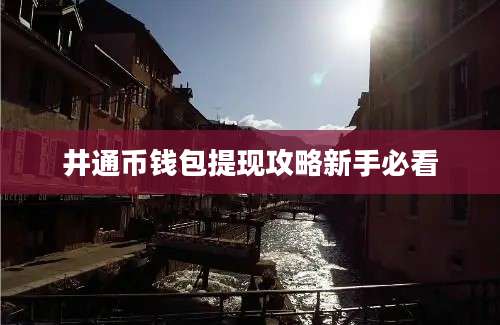 井通币钱包提现攻略新手必看