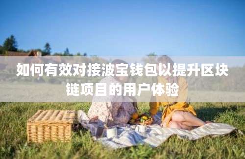 如何有效对接波宝钱包以提升区块链项目的用户体验