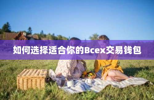 如何选择适合你的Bcex交易钱包