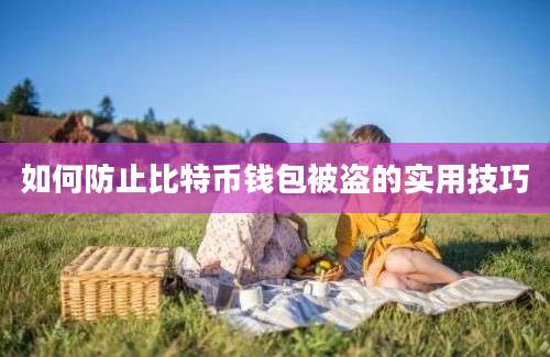 如何防止比特币钱包被盗的实用技巧