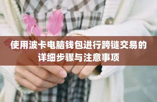 使用波卡电脑钱包进行跨链交易的详细步骤与注意事项