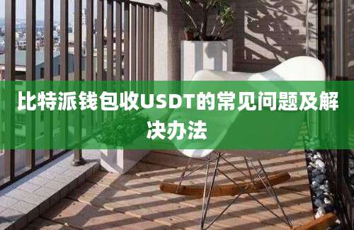 比特派钱包收USDT的常见问题及解决办法