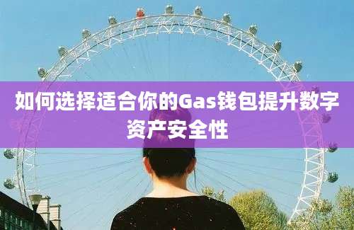 如何选择适合你的Gas钱包提升数字资产安全性