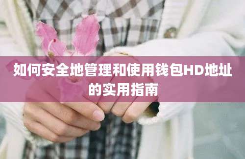 如何安全地管理和使用钱包HD地址的实用指南