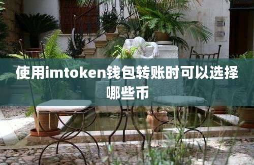 使用imtoken钱包转账时可以选择哪些币