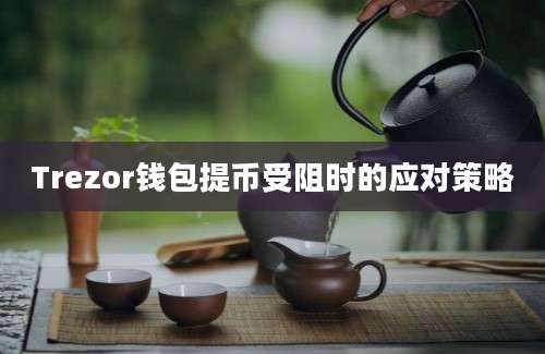 Trezor钱包提币受阻时的应对策略