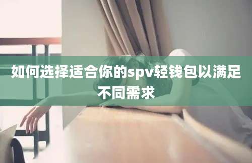 如何选择适合你的spv轻钱包以满足不同需求