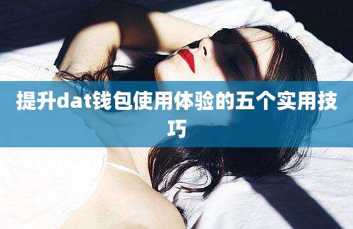 提升dat钱包使用体验的五个实用技巧