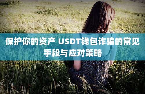 保护你的资产 USDT钱包诈骗的常见手段与应对策略