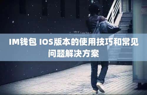 IM钱包 IOS版本的使用技巧和常见问题解决方案