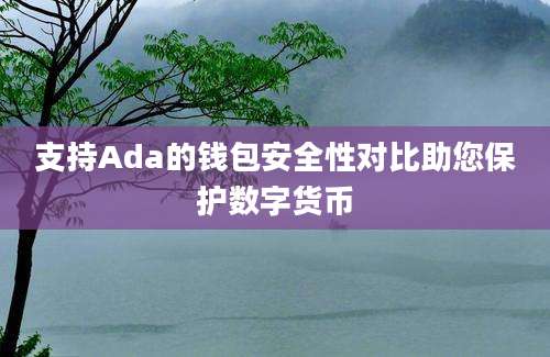 支持Ada的钱包安全性对比助您保护数字货币