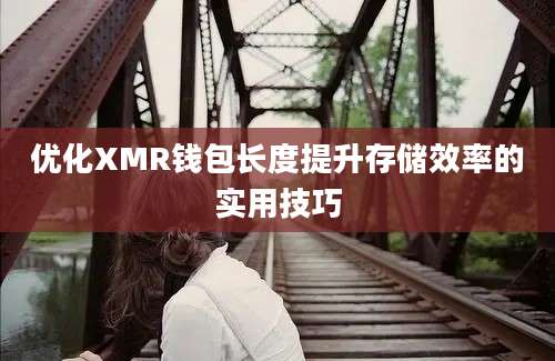 优化XMR钱包长度提升存储效率的实用技巧