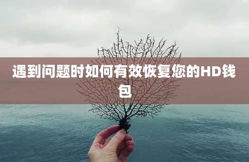 遇到问题时如何有效恢复您的HD钱包