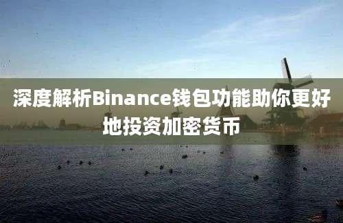 深度解析Binance钱包功能助你更好地投资加密货币