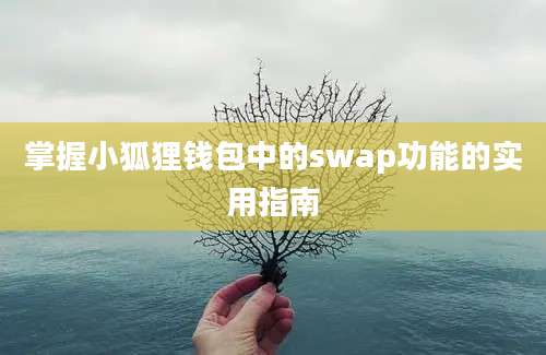 掌握小狐狸钱包中的swap功能的实用指南