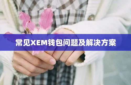 常见XEM钱包问题及解决方案