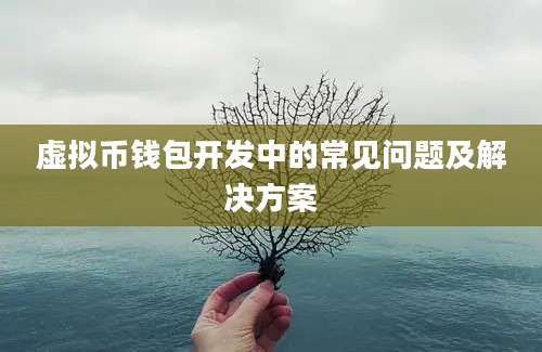 虚拟币钱包开发中的常见问题及解决方案