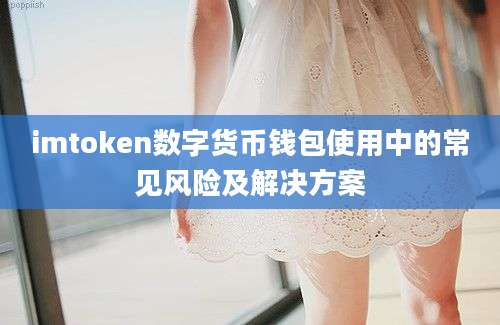 imtoken数字货币钱包使用中的常见风险及解决方案