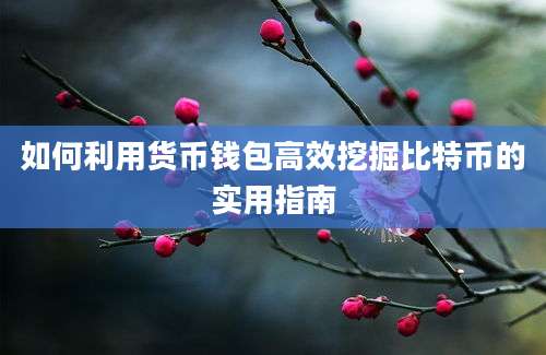 如何利用货币钱包高效挖掘比特币的实用指南