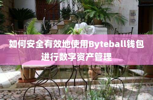 如何安全有效地使用Byteball钱包进行数字资产管理