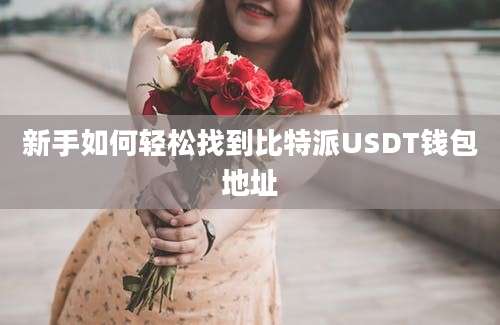 新手如何轻松找到比特派USDT钱包地址