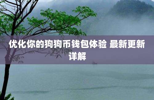 优化你的狗狗币钱包体验 最新更新详解