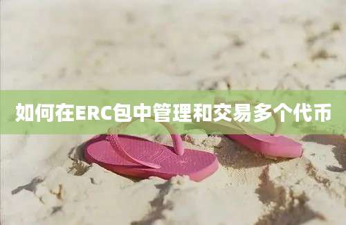 如何在ERC包中管理和交易多个代币